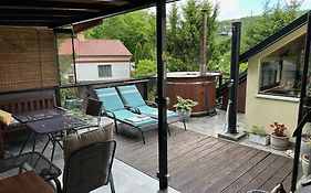 Apartment U Hradu